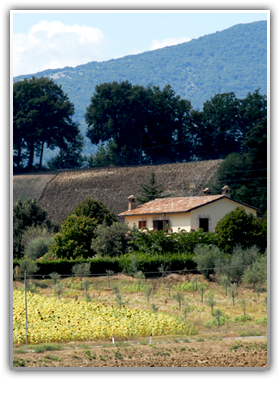 Agriturismo Il Mannello